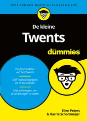Omslag van De kleine Twents voor Dummies