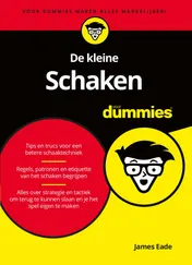 Omslag van De kleine Schaken voor Dummies