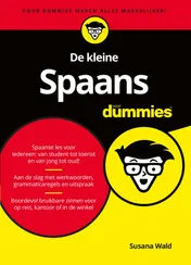Omslag van De kleine Spaans voor Dummies, 2e editie