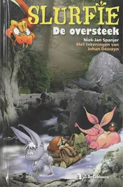 Omslag van De oversteek