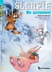 Omslag van De ijstunnel