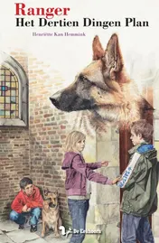 Omslag van Het dertien dingen plan