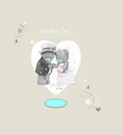 Omslag van Wedding Day