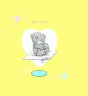 Omslag van New Baby