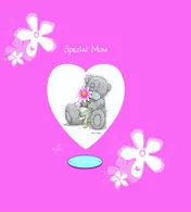 Omslag van Special Mum