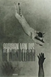 Omslag van De wandelaar