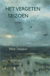 Omslag van Het vergeten seizoen