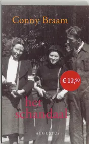 Omslag van Het schandaal