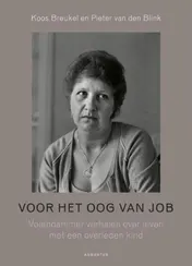 Omslag van Voor het oog van Job