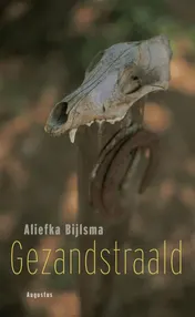 Omslag van Gezandstraald