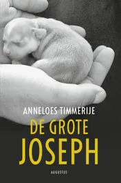 Omslag van De grote Joseph
