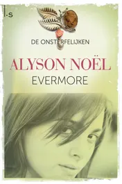 Omslag van Evermore