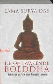 Omslag van De ontwakende Boeddha