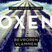 Omslag van Bevroren vlammen