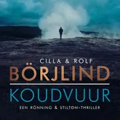 Omslag van Koudvuur