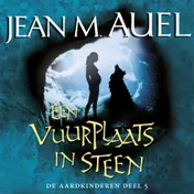 Omslag van Een vuurplaats in steen