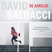 Omslag van De aanslag