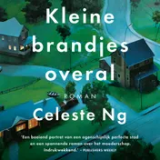 Omslag van Kleine brandjes overal
