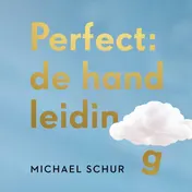 Omslag van Perfect: de handleiding