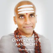 Omslag van De kracht van onverdeelde aandacht