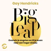 Omslag van The Big Leap