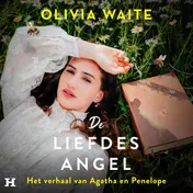 Omslag van De liefdesangel