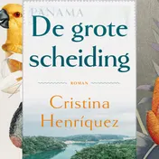 Omslag van De grote scheiding