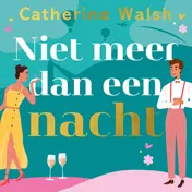 Omslag van Niet meer dan een nacht