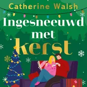 Omslag van Ingesneeuwd met kerst