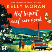 Omslag van Het begint met een vonk