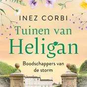 Omslag van Boodschappers van de storm