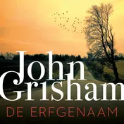 Omslag van De erfgenaam