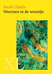 Omslag van Weerzien in de woestijn