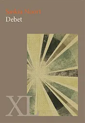 Omslag van Debet