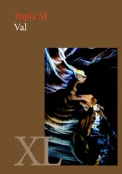 Omslag van Val