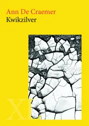 Omslag van Kwikzilver