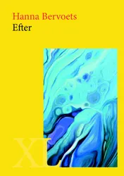 Omslag van Efter
