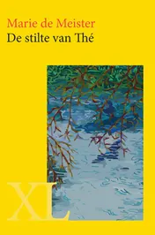 Omslag van De stilte van Thé