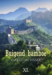 Omslag van Buigend bamboe