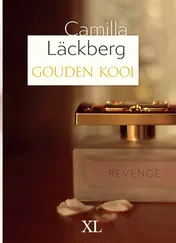Omslag van Gouden kooi
