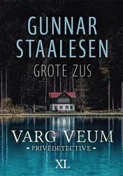 Omslag van Grote zus