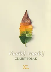 Omslag van Voorbij,voorbij