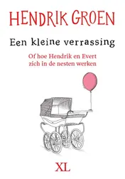 Omslag van Een kleine verrassing