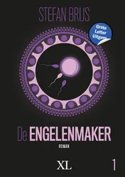 Omslag van De engelenmaker