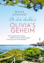 Omslag van Olivia's geheim - Grote Letter Uitgave