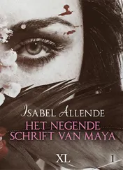 Omslag van Het negende schrift van Maya - grote letter uitgave