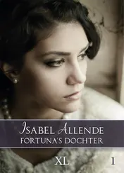 Omslag van Fortuna's dochter
