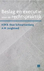 Omslag van Beslag en executie voor de rechtspraktijk