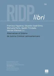 Omslag van Alternativas al sistema de justicia criminal Latinoamericano
