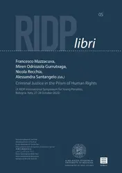 Omslag van Criminal Justice in the Prism of Human Rights